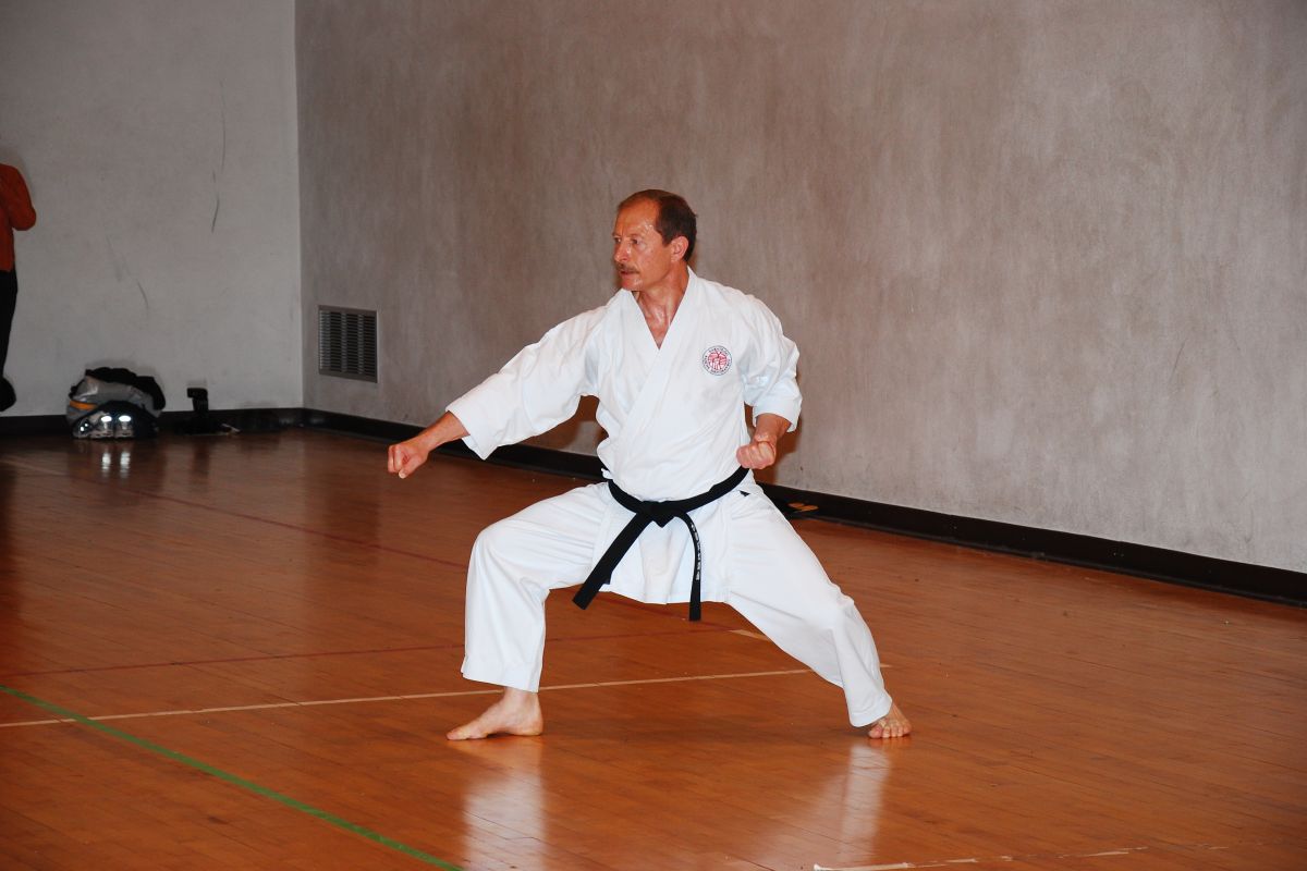  - 00-sensei-velibor-dimitrijevic-demonstrating-gedan-barai